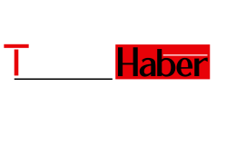 API ile Konuşan Otomasyon Scripti Yazmak (Python)